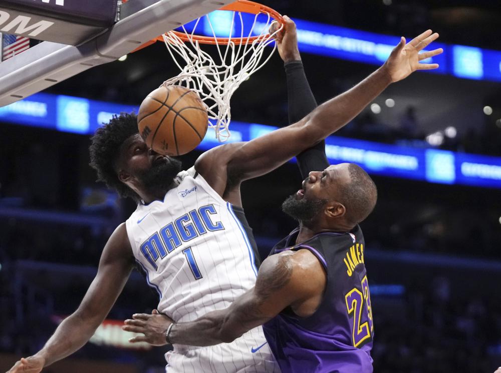 致力于资助 致力于资助